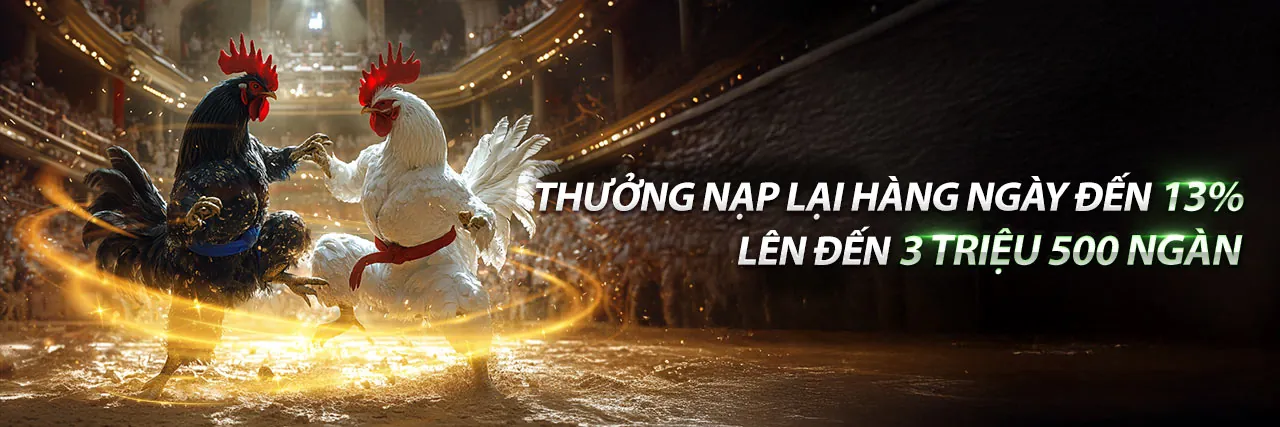 Hoàn Trả Hàng Ngày Đá Gà